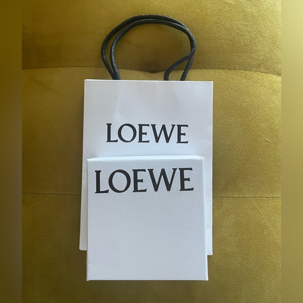 Loewe small box and bags